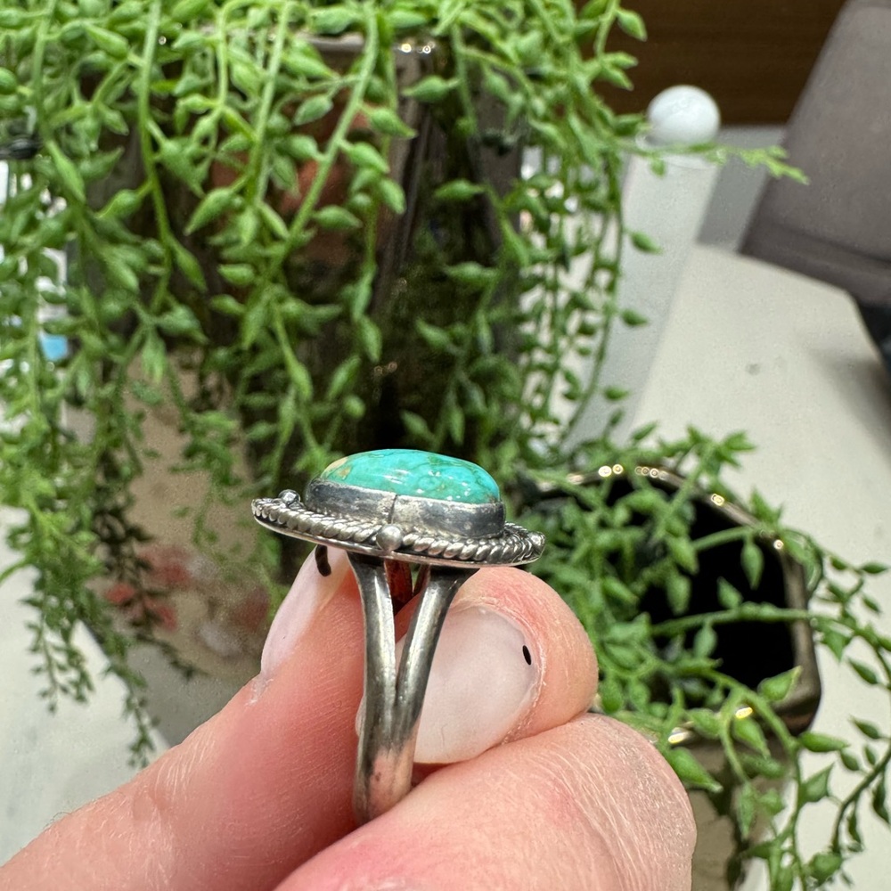 Western Ring - image 4